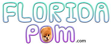 A logo that reads "Florida Pom" with the word "Pom" written in colorful letters and incorporating an image of a small fluffy dog's face in the letter "O".